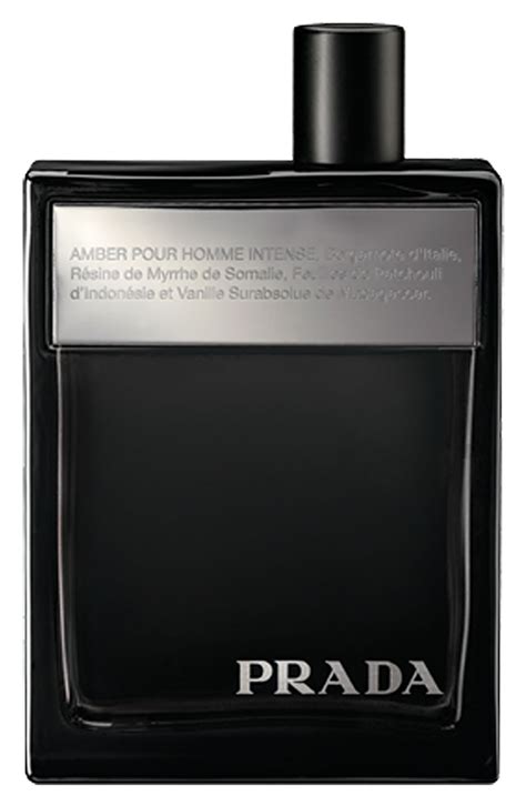 prada l'homme vs amber pour homme|amber pour homme intense.